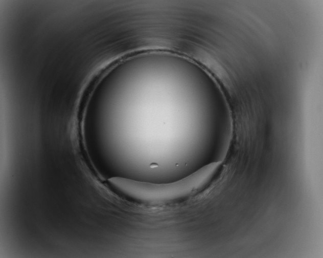 X0000092231072200709211021