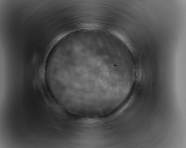 X0000092231074200709211021
