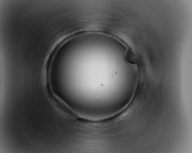 X0000092231075200709211021