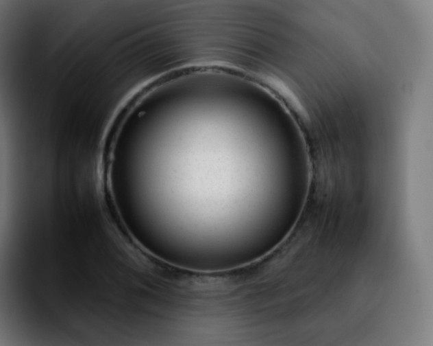 X0000092231076200709211021