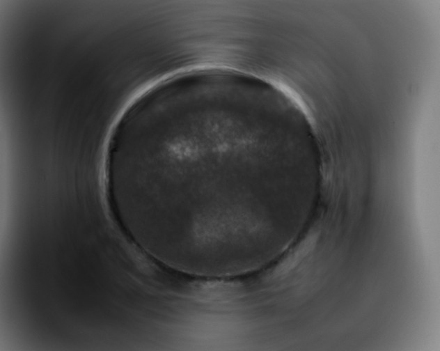 X0000092231077200709211021