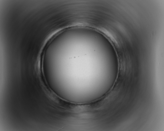X0000092231078200709211021