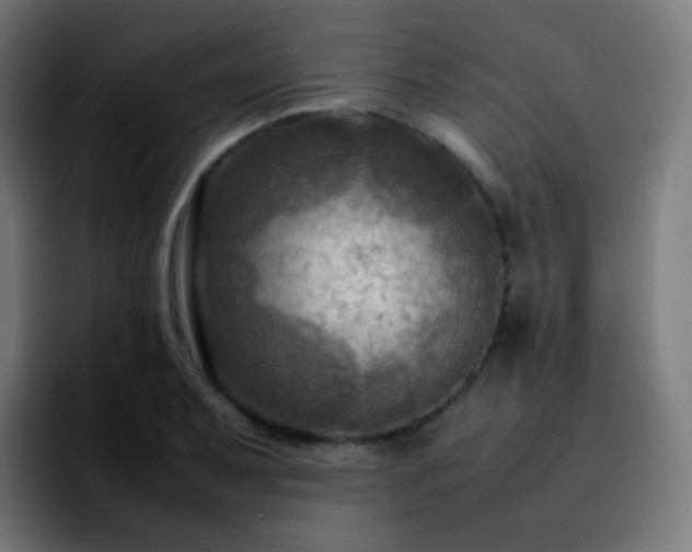 X0000092231079200709211021