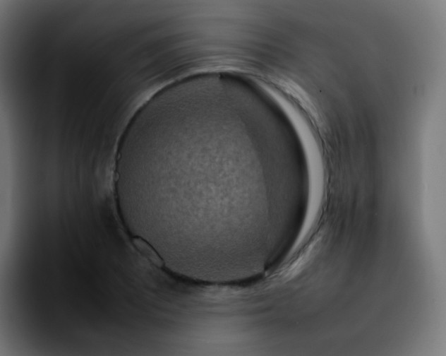 X0000092231081200709211021