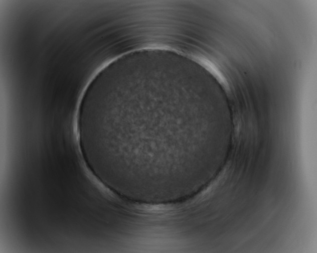 X0000092231084200709211021