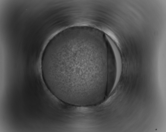 X0000092231088200709211021