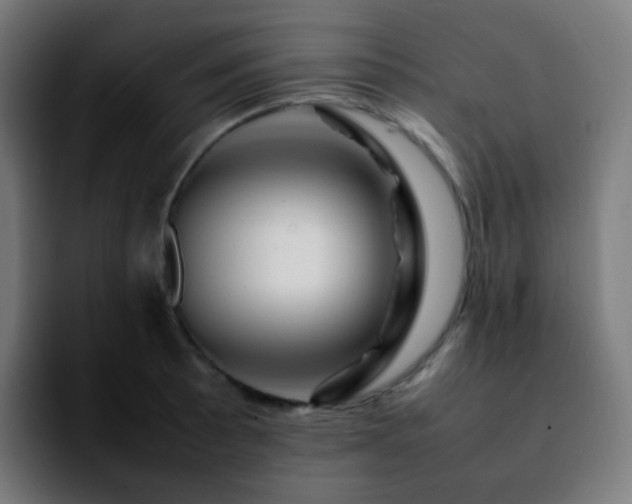 X0000092231089200709211021