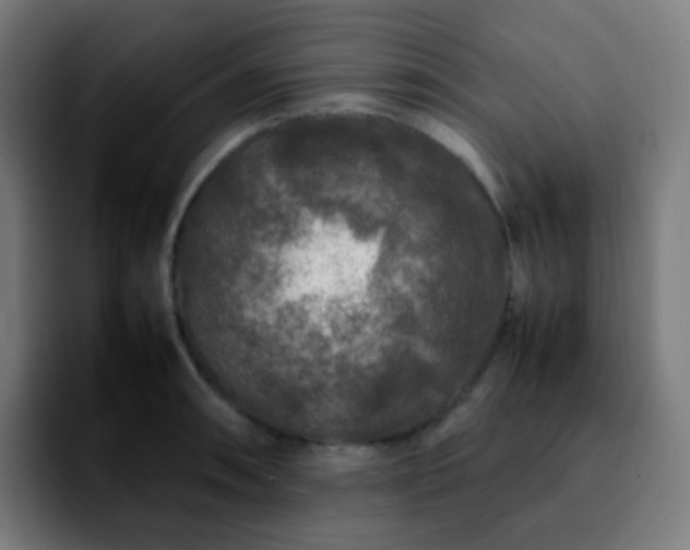 X0000092231090200709211021