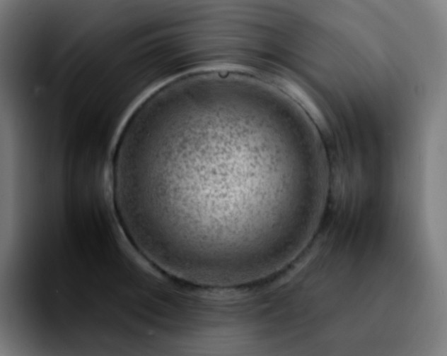 X0000092231092200709211021