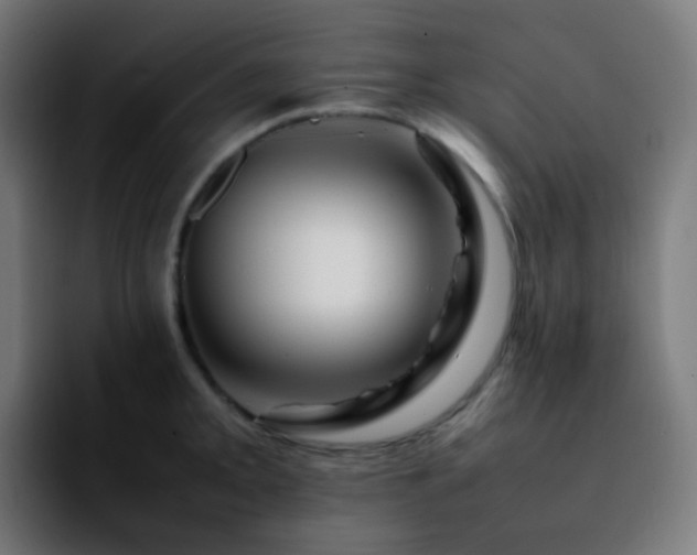 X0000092231093200709211021