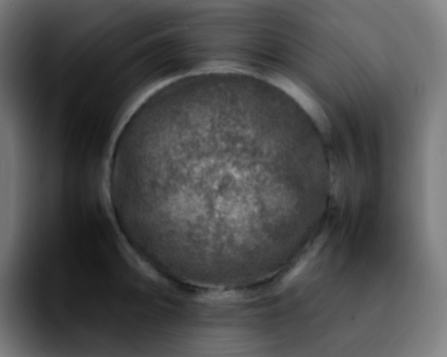 X0000092231094200709211021