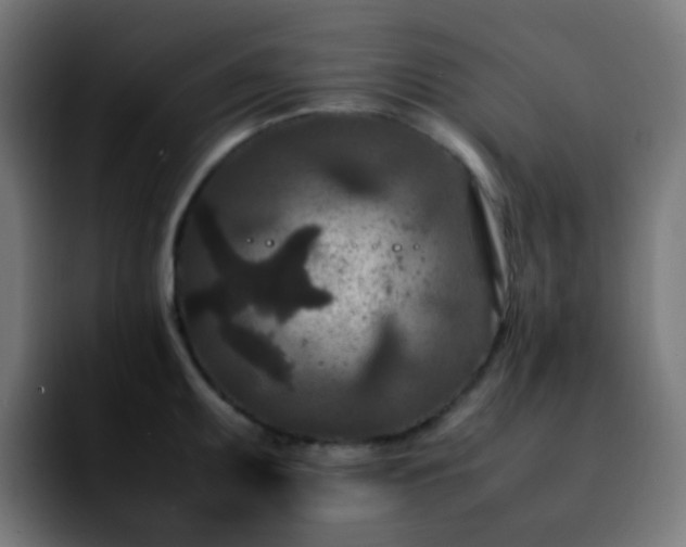 X0000092231095200709211021