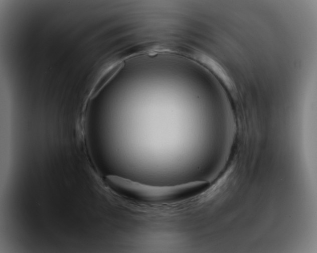 X0000092231097200709211021