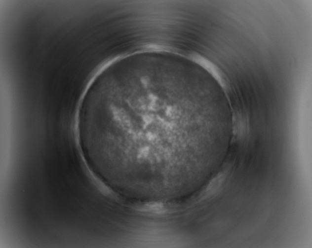 X0000092231098200709211021