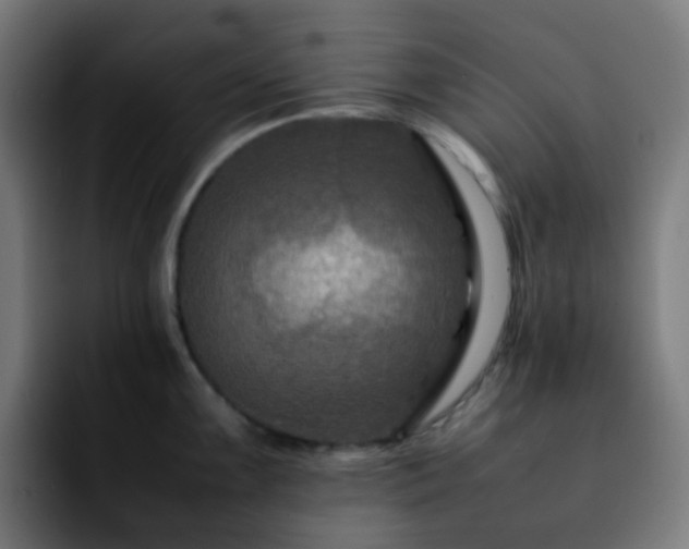 X0000092231099200709211021
