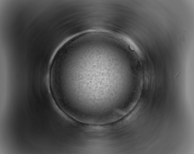 X0000092231100200709211021