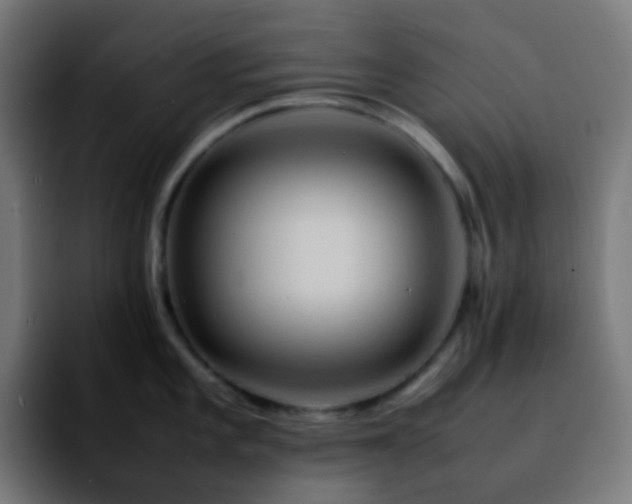 X0000092231101200709211021