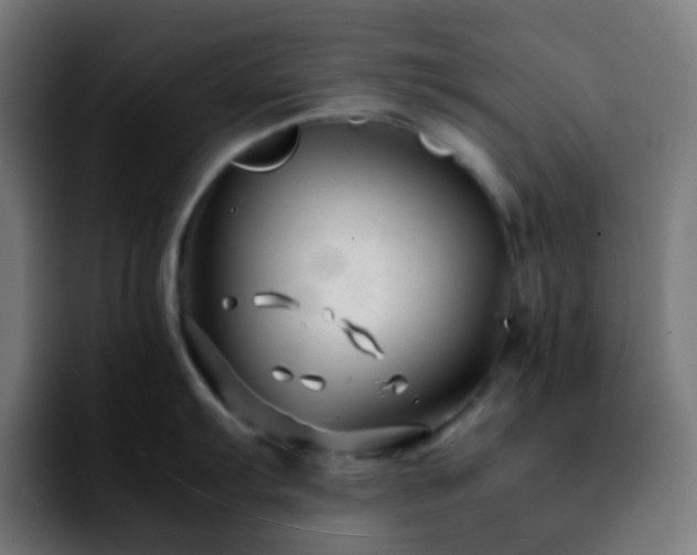 X0000092231103200709211021
