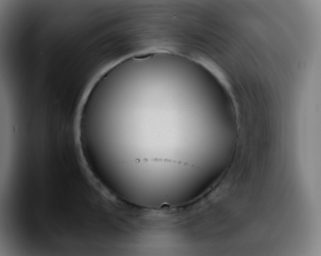 X0000092231104200709211021