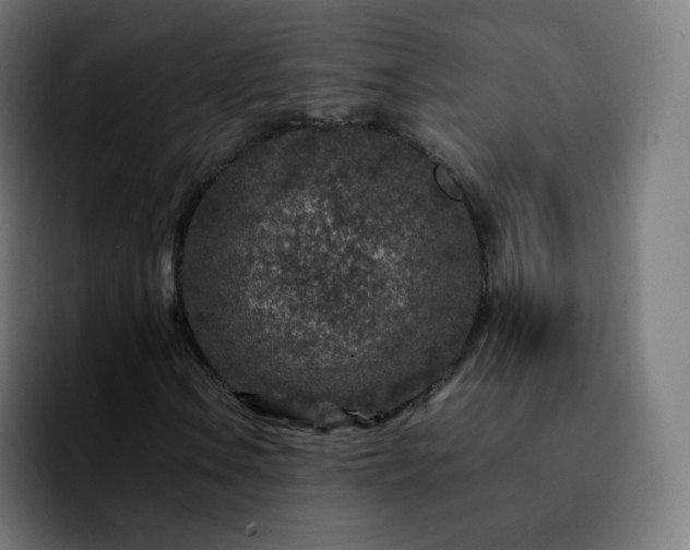 X0000092231106200709211020