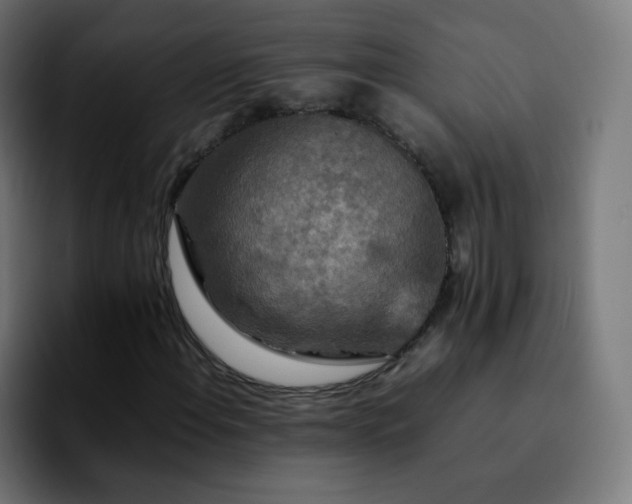 X0000092231108200709211020