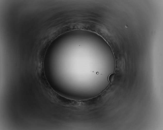 X0000092231109200709211020