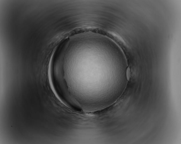 X0000092231110200709211020