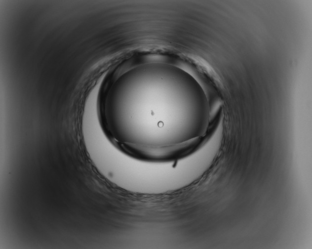 X0000092231112200709211020