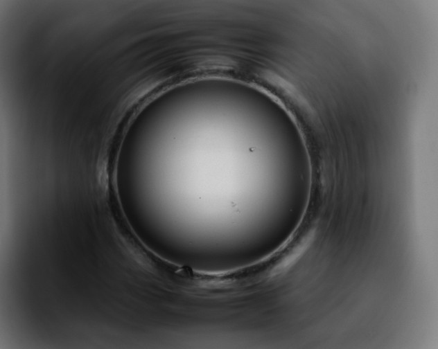 X0000092231113200709211020