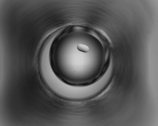X0000092231114200709211020