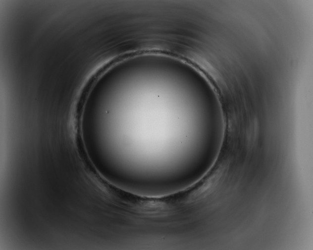 X0000092231119200709211020