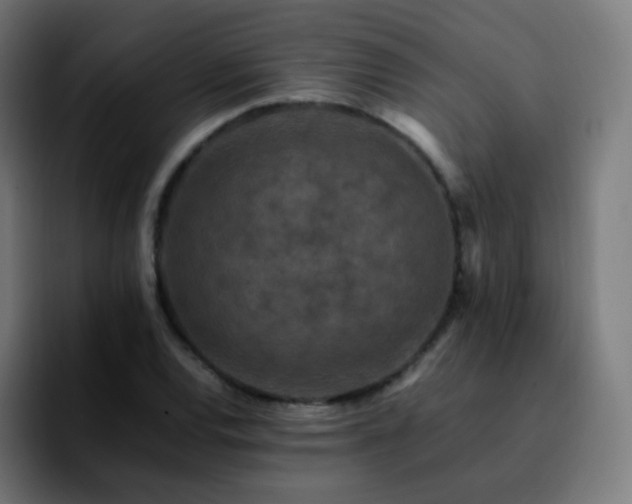 X0000092231120200709211021