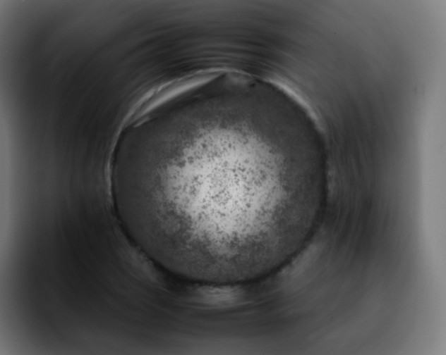 X0000092231121200709211021