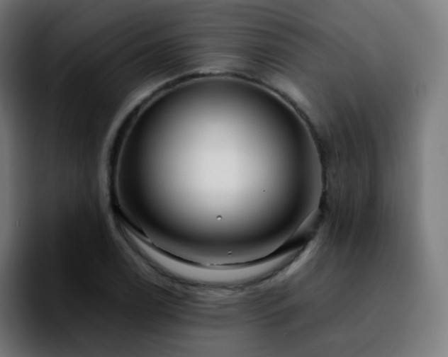 X0000092231122200709211021