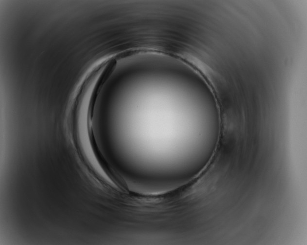 X0000092231123200709211021