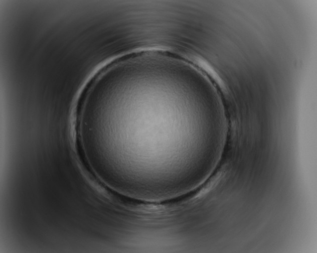 X0000092231124200709211021