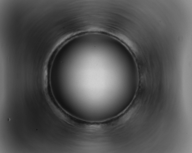 X0000092231126200709211021