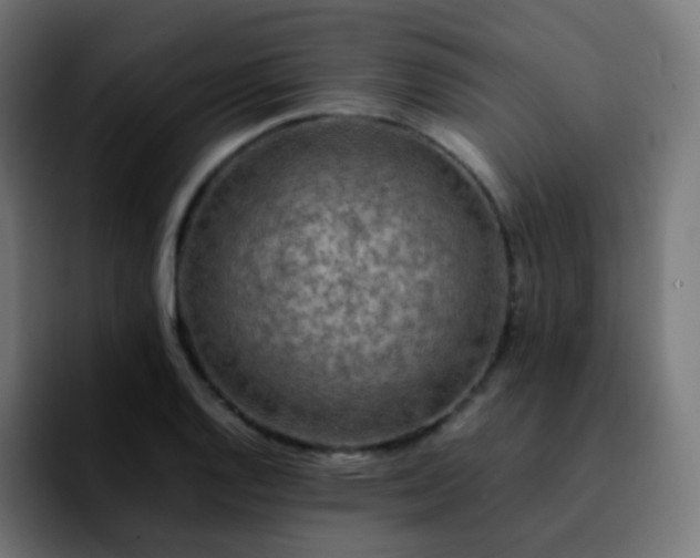 X0000092231128200709211021