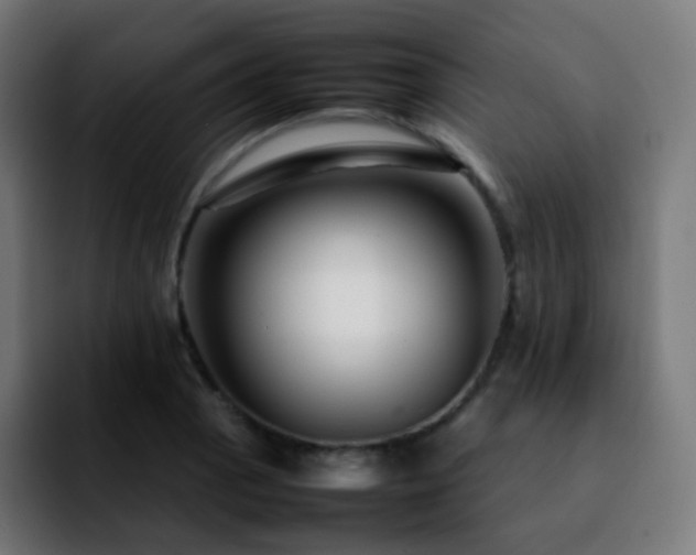 X0000092231129200709211021