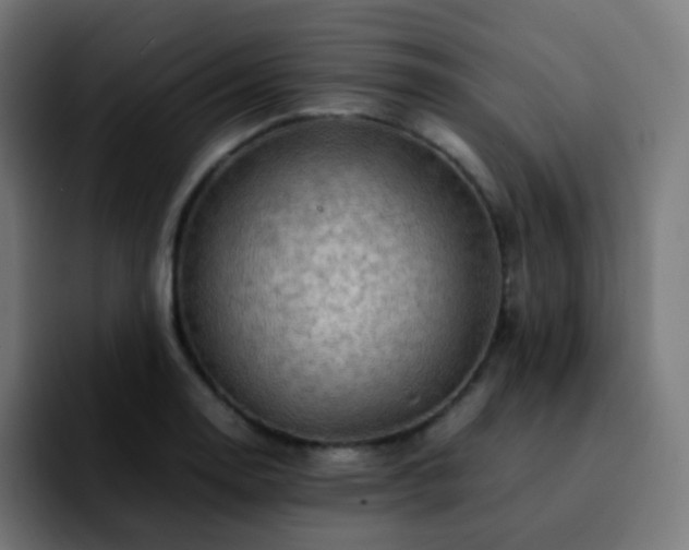 X0000092231130200709211021