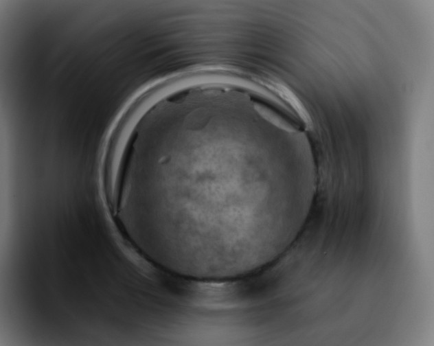 X0000092231132200709211021
