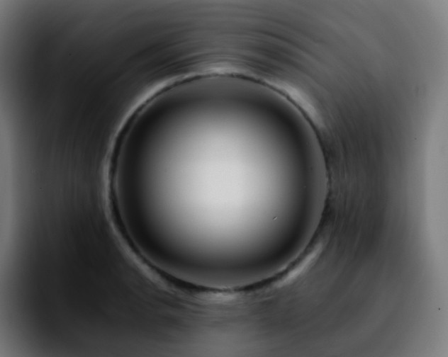 X0000092231134200709211021