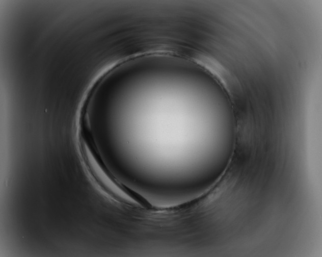 X0000092231135200709211021