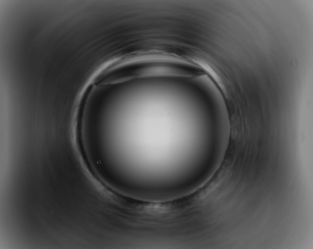 X0000092231139200709211021