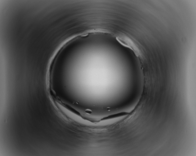 X0000092231140200709211021