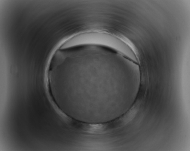 X0000092231144200709211021
