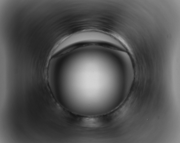 X0000092231145200709211021