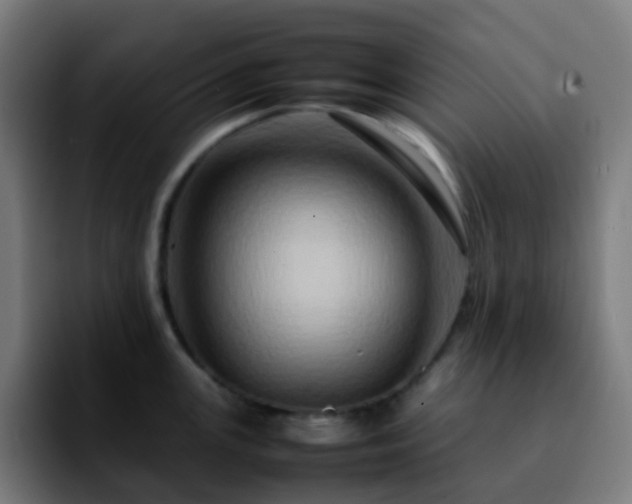 X0000092231147200709211021