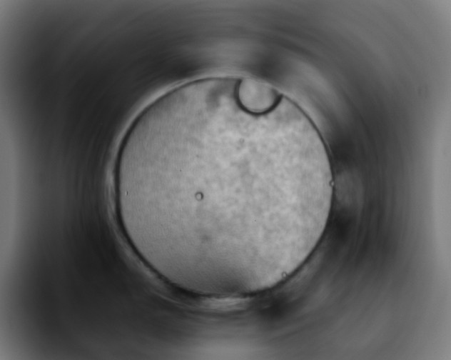 X0000092231150200709211021
