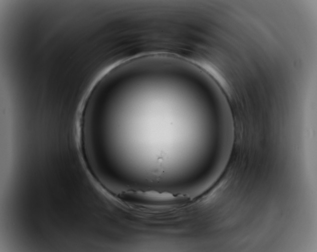 X0000092231151200709211021